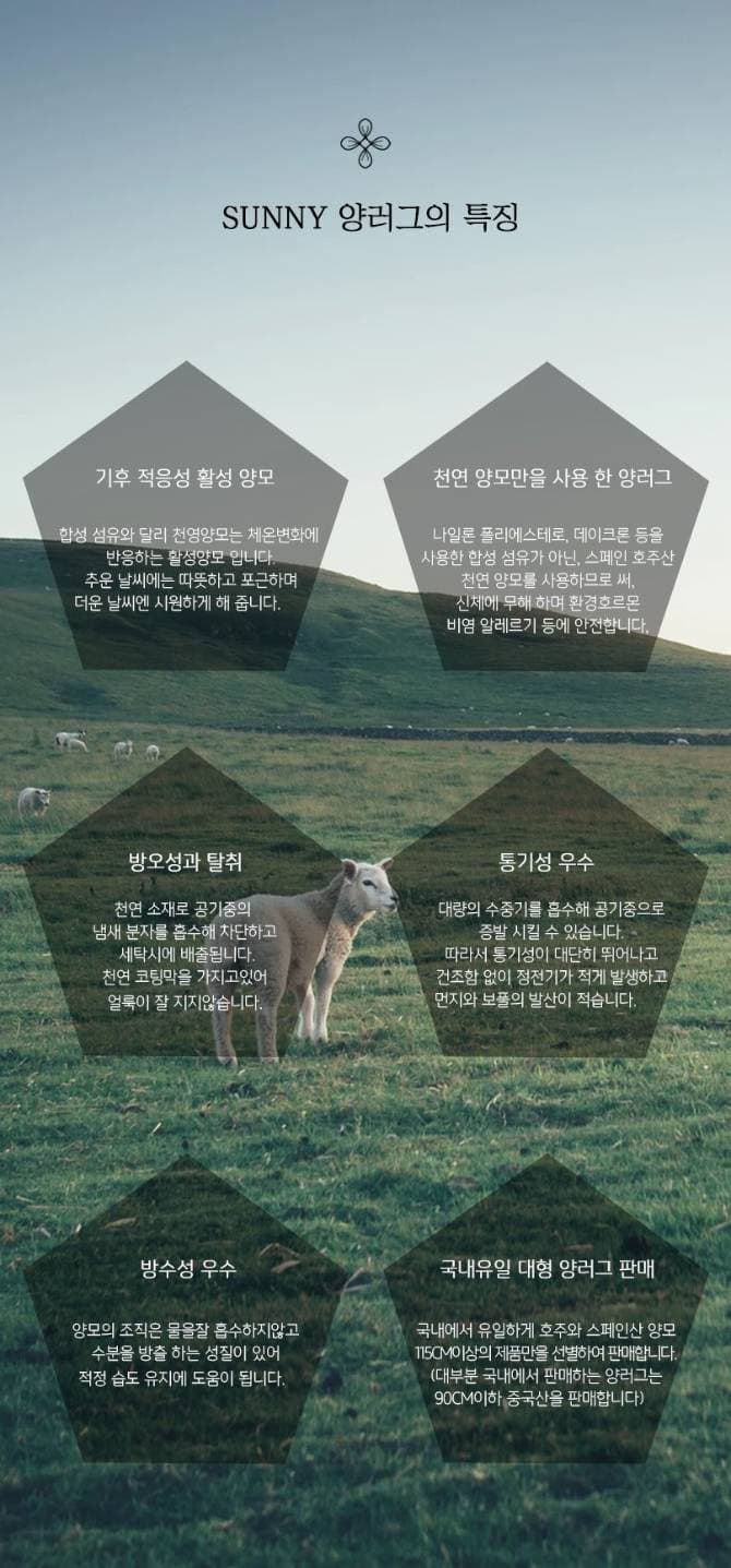 써니양모 Pop-Up Store 사진 2