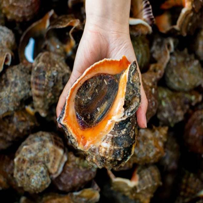 해담은푸드 푸짐하고 간편한 Sea Food 사진 2