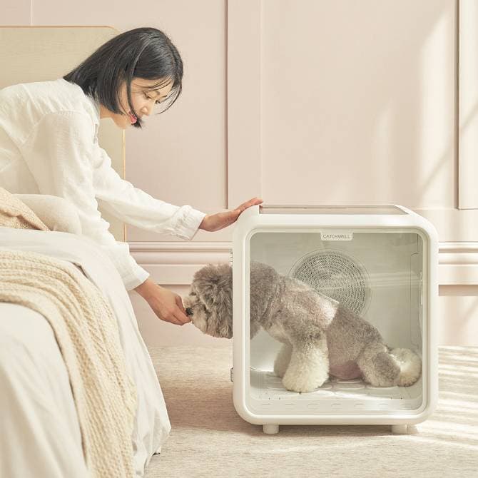캐치웰 스팀청소기 신규출시 Pop-Up 사진 6