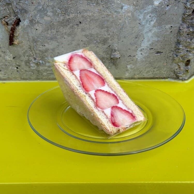 아티초크라보 사진 2